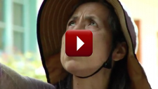 Tugar Tugar, Salir a Buscar el Sentido Perdido